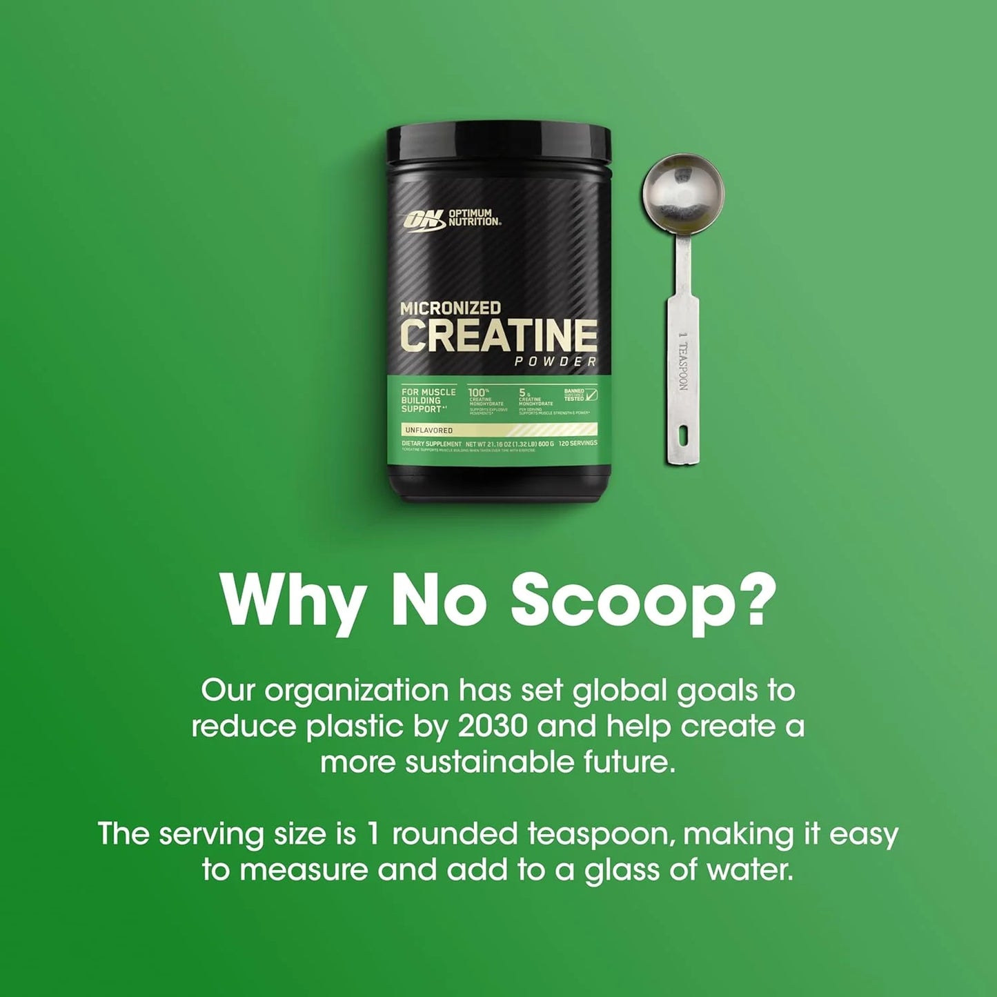 Optimum Nutrition Creatine Monohydrate Powder